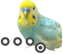 700834551