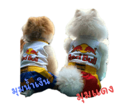 700865839