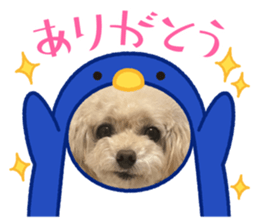 700874244