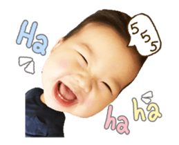 70088954