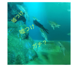700922167