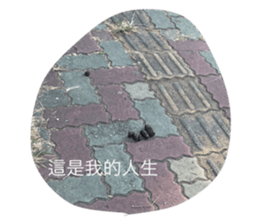 701059732