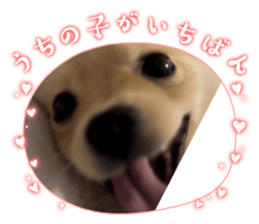 701071286