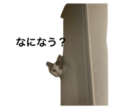 701072445