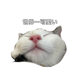 701072454