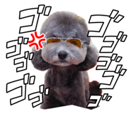 701086376