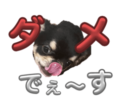 701087676