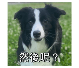 701087824