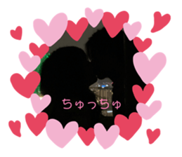 701099862