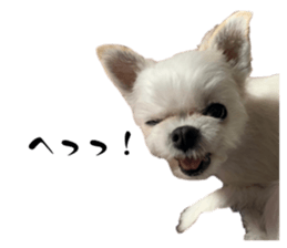 701208527