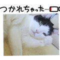 701231502