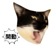 701231921