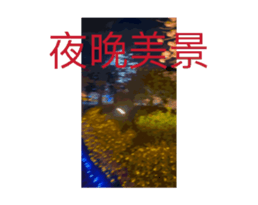 701239529