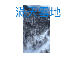 701239530