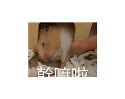 701240225
