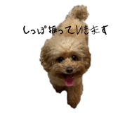 701243038