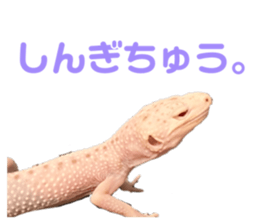 701266740