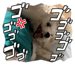 701268734