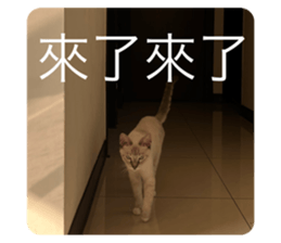 701278300