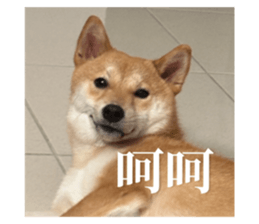 701372472