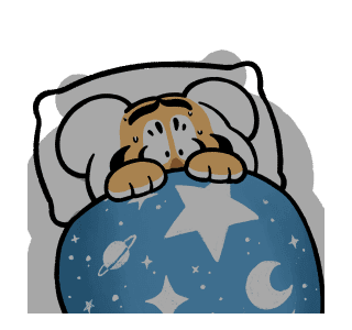 ลายที่ 37