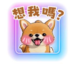 701390243