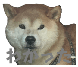 701396598