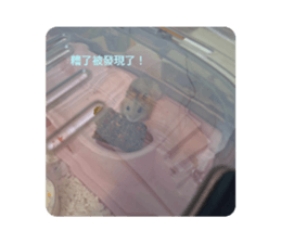 701436807