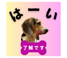 701467993