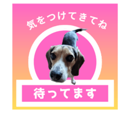 701467996