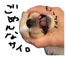 701478025