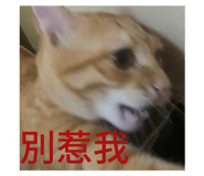701503375