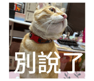 701503379