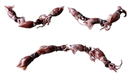 701526203