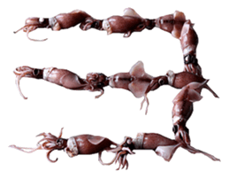 701526206