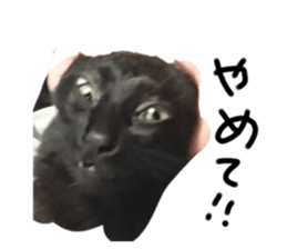 701548436