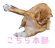 701582064