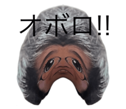701588686