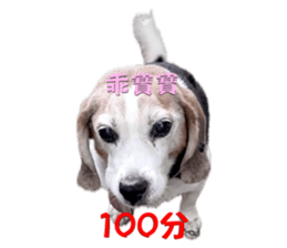 701702765