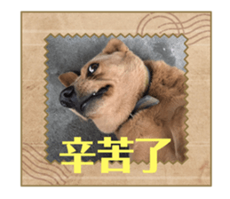 701703087