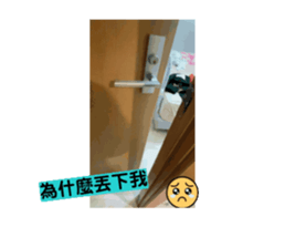 701710246