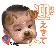 701726628