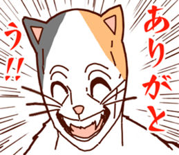 701744365