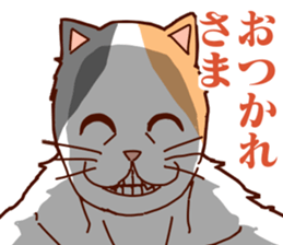 701744366