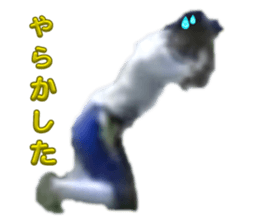 701766442
