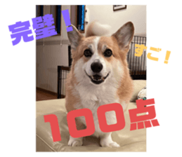 701766884