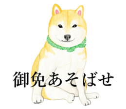 7018774