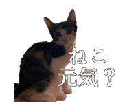 701884513