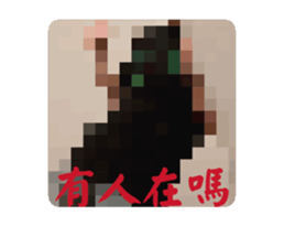 701909384