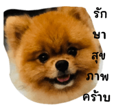 701915016